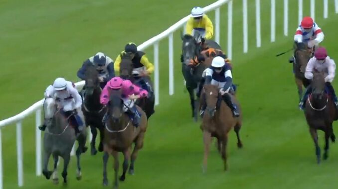 Billionaire-horse-racing-trainer-has-2001-winner-–-after-landing-3001-shot.jpg